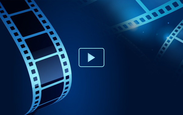 Bầu cử Đại biểu Quốc hội Khóa XIV và Đại biểu Hội đồng nhân dân các cấp nhiệm kỳ 2026 - 2031